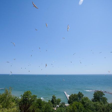 Bisser Hotel - Free Parking - Free Pool Access Balchik Exterior foto