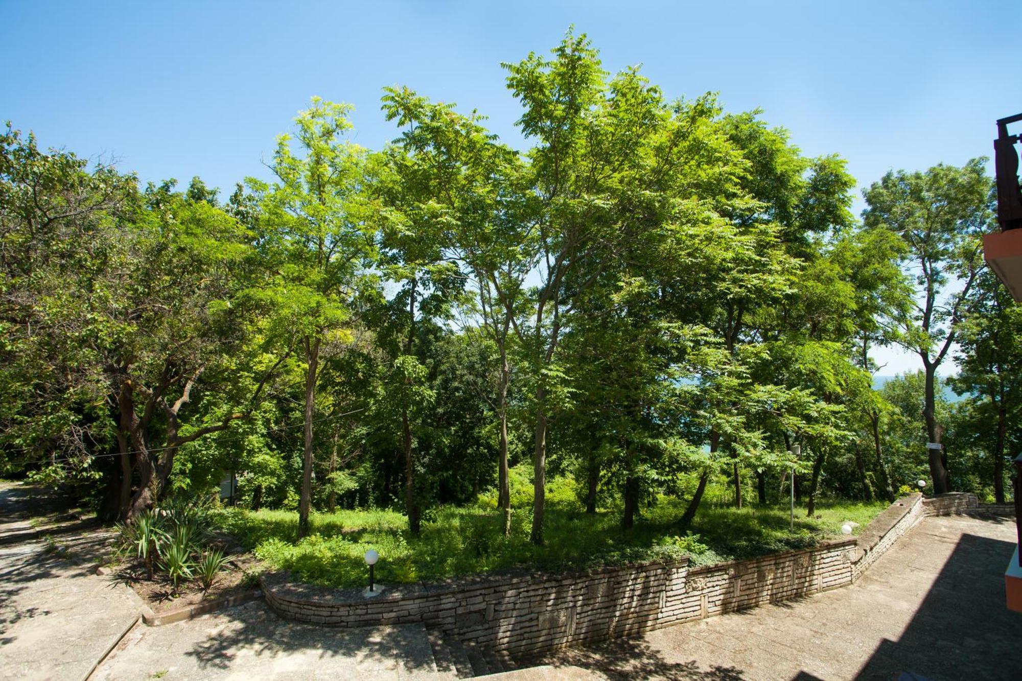 Bisser Hotel - Free Parking - Free Pool Access Balchik Quarto foto